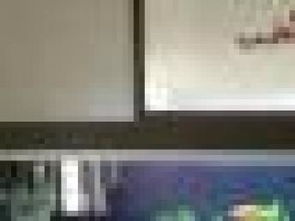 圖 森鑫淼水族服務(wù)公司,魚缸水族箱清洗 天津?qū)櫸锓?wù)