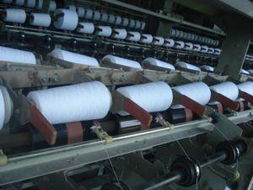 蒼南縣望里鎮海島清潔用品廠 專業清潔服務，守護環境之美